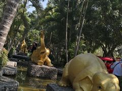 -西双版纳傣族园
