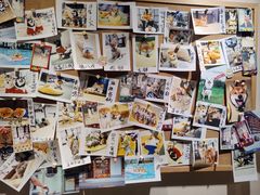 -逗柴咖啡屋·狗咖猫咖宠物桌游