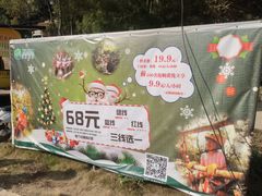 -芦仙山景区-飞越丛林探险乐园