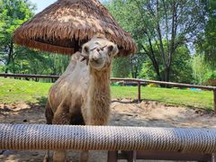 -北京野生动物园