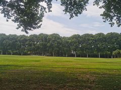 -河南省黄河迎宾馆