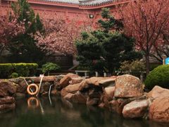-石岛赤山风景区