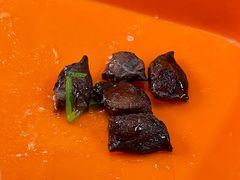 -宋老三苏肉羊肉汤老店