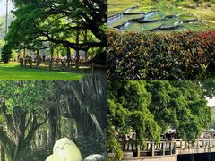 -坛南湾阿强农家乐.海鲜大排档老字号(福州地标美食店)