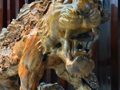 -烟台自然博物馆
