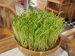 鲜豆苗-广顺鑫猪肚鸡(经八路店)