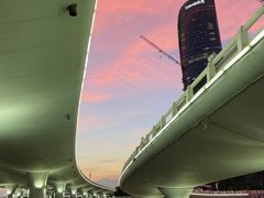 -演武大桥观景平台