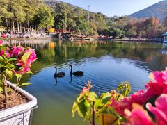-广州市白云山风景名胜区