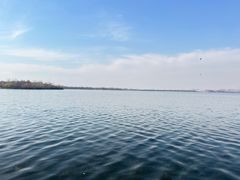 -丁香湖公园