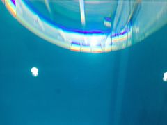 -上海潜殿潜水中心