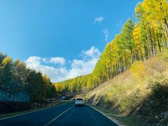 -塞罕坝国家级自然保护区