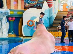 -海合安武汉极地海洋公园