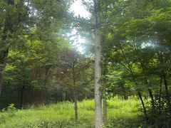 -秦皇岛野生动物园