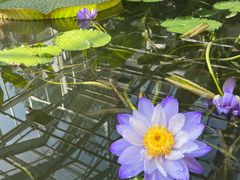 -国家植物园南园