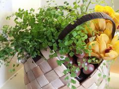 -花言草语鲜花店(灵山路店)