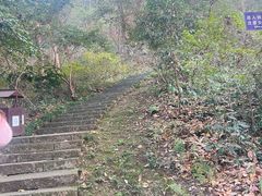 -九曜山