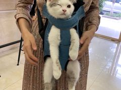 -仁华宠物医院(青羊店)