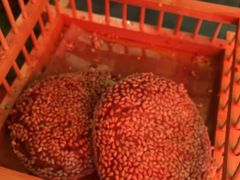 -南城十里潮汕鲜牛火锅·鲜虾生滚粥(融汇老商埠店)