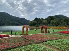 -广州市石门国家森林公园