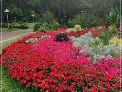 -人民公园(罗湖区)