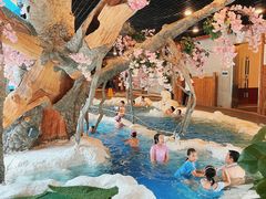 -中铁花水湾温泉酒店(大邑店)