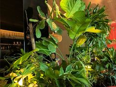-拉蒂娜·巴西牛排馆 Latina·Brazilian Steakhouse(铜仁旗舰店)