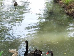 -长兴太湖图影湿地文化园