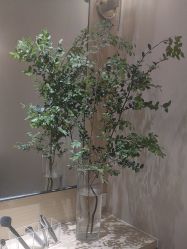 -恒美雅轩·品牌直营连锁