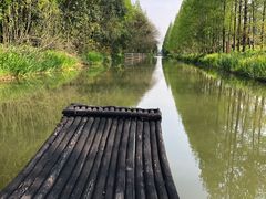 -上海长兴岛郊野公园