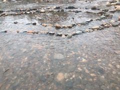 -白河湾生态旅游一条川