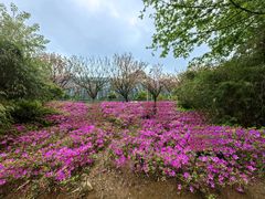 -贵阳市花溪国家城市湿地公园