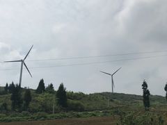 -齐岳山