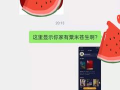 -猫尾侦探俱乐部·剧本杀·狼人杀