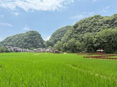 -高荡千年布依古寨旅游景区