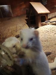 -酷嗒动物文化乐园(cutezoo西溪乐天城店)