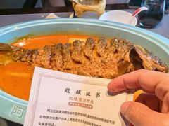 -阿五黄河大鲤鱼(建业路店)