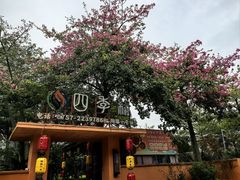 -陶缘一号·四季缘·老字号顺德菜·户外婚礼家宴(西滘店)