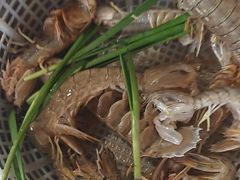 -三个渔夫·蒸汽海鲜(小白楼店)