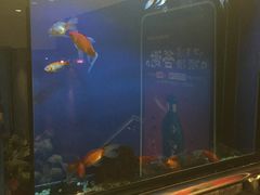 -午月海鲜烧烤酒店(不老街店)