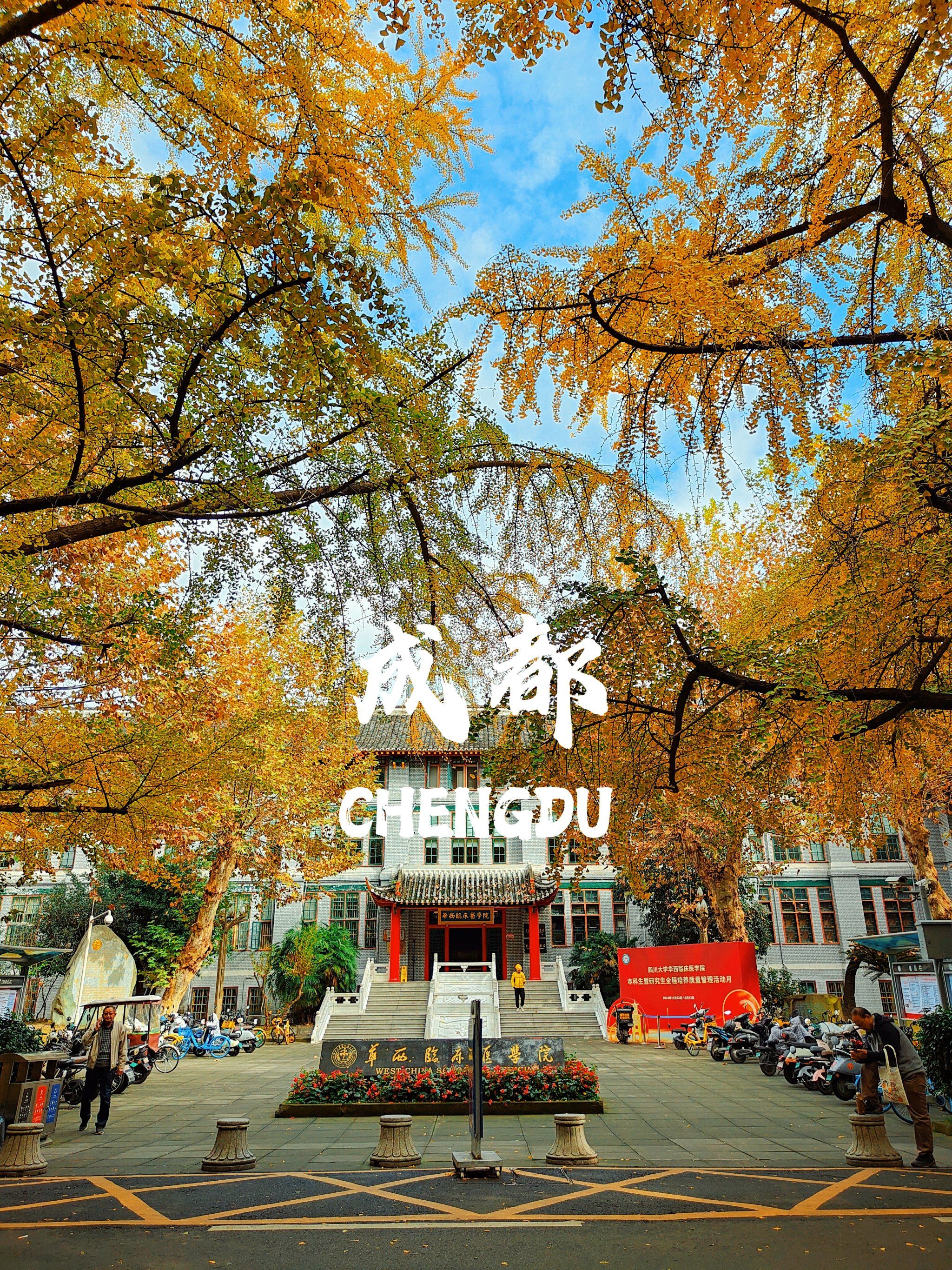 跟着色彩游四川@成都笔记创作助手
#成都赏秋大会@点小浪@点评成都