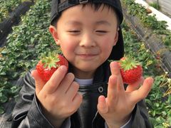 -小鱼草莓采摘园农家乐·小鱼餐厅