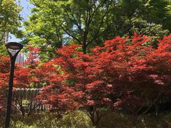 -苏州河梦清园环保主题公园