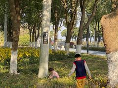 -白塘生态植物园