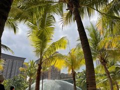 -亚马逊丛林水乐园