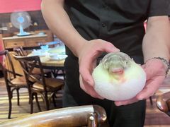 -永安鱼庄·镇江菜(三店纬五路店)