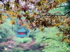 -岳麓山风景名胜区