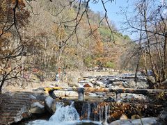 -陕西省红河谷森林公园