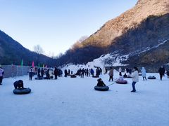 -少华山国家森林公园