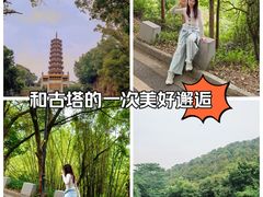 -大雁山风景区