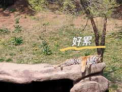 -沈阳森林动物园